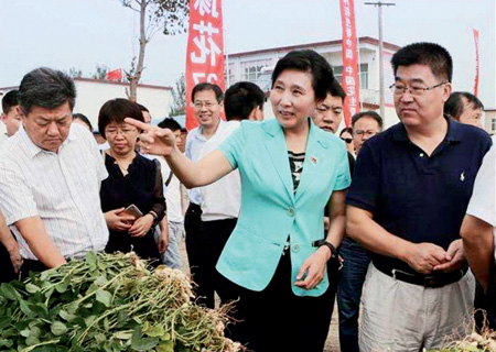 正阳县委书记刘艳丽正在向客商介绍正阳的花生产品