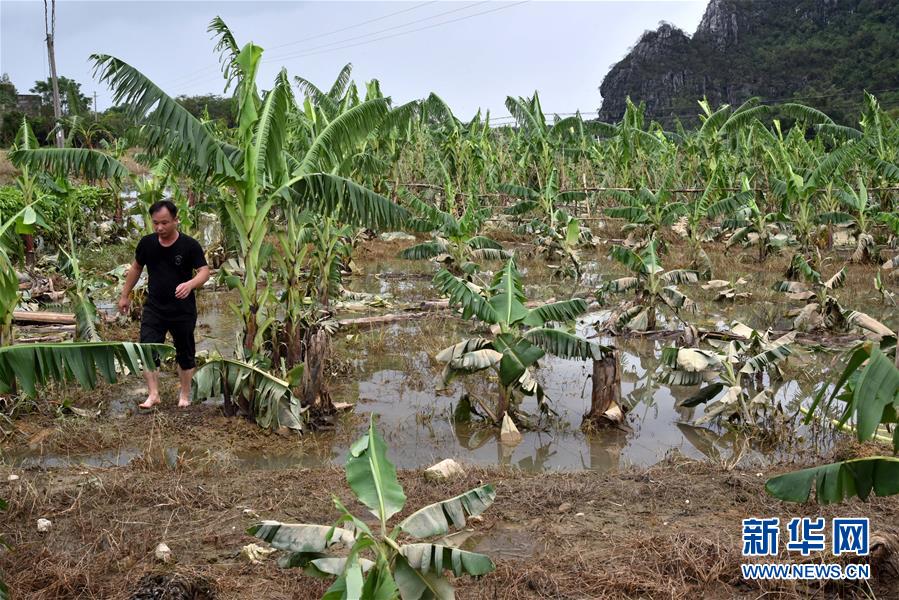 （关注“山竹”）（5）广东阳江受灾严重 救灾重建工作正在进行