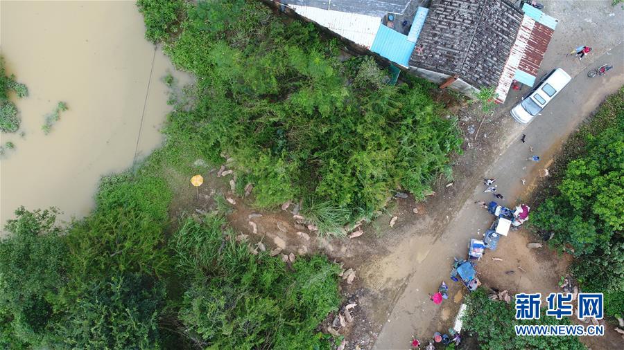 （关注“山竹”）（9）广东阳江受灾严重 救灾重建工作正在进行