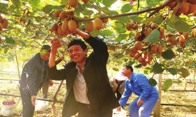 【县域生态图片】留住青山绿水打造美丽乡村