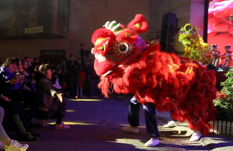 1月30日，江西省宜丰县迎新春文艺晚会上，表演中的“狮子”与观众互动。