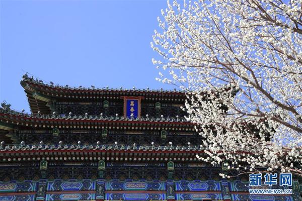 桃花扮美三月天