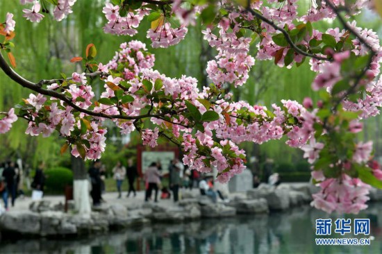 （环境）（2）山东济南：乐享好春光