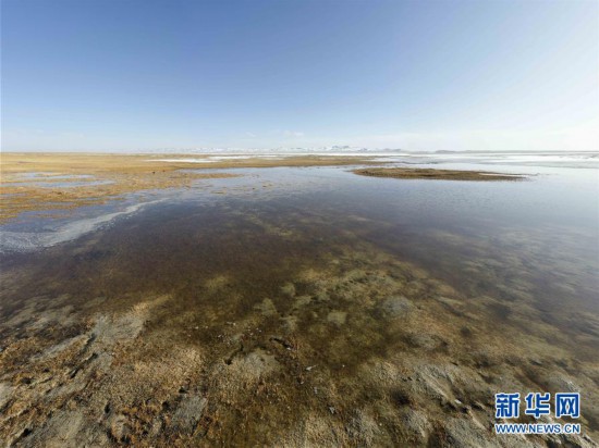 （图文互动）（2）新疆阿尔金山保护区生态恢复趋好