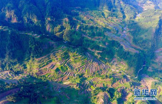 （环境）（3）苗山梯田美如画