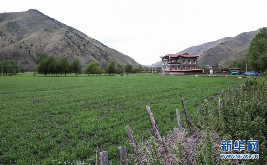 （社会）（5）打造藏区新农村  助力乡村振兴