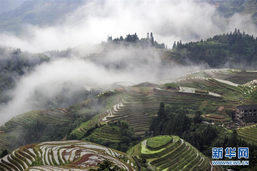 #（美丽中国）（2）广西龙脊：雨后梯田如仙境