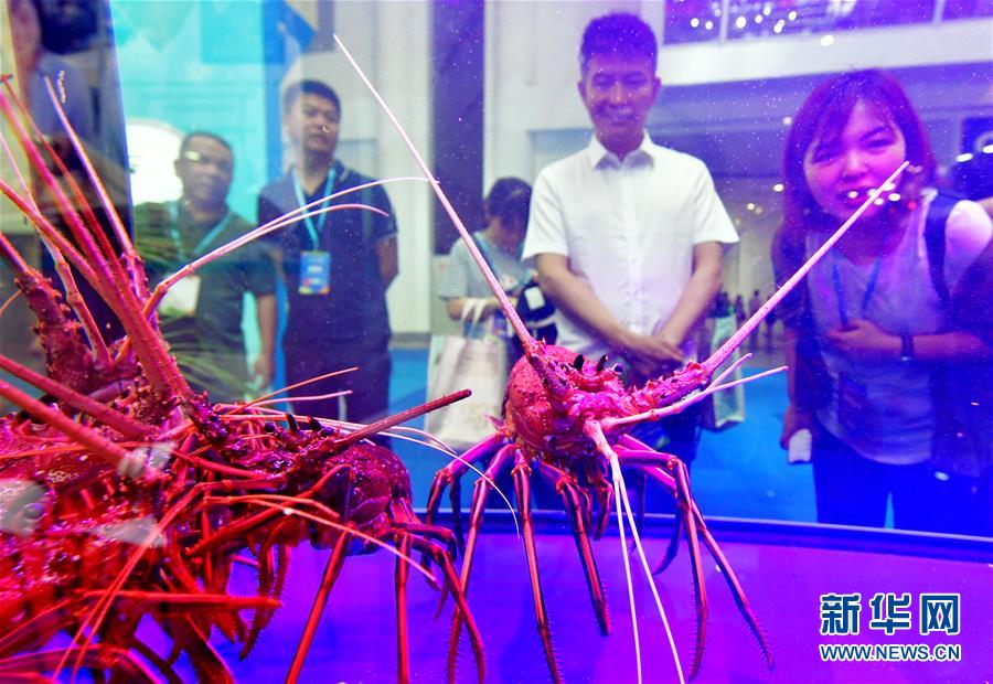 （经济）（2）2019中国（福州）国际渔业博览会开幕