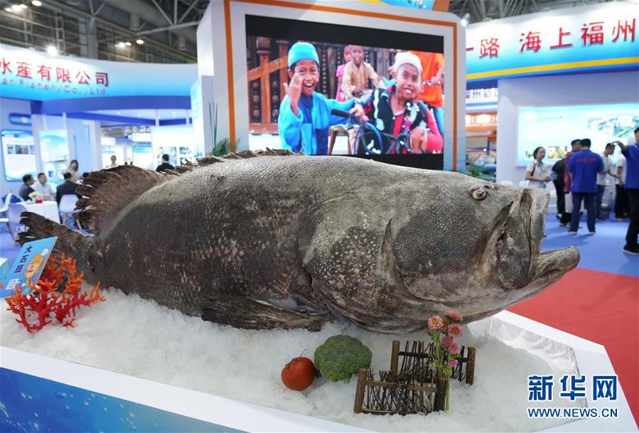 （经济）（3）2019中国（福州）国际渔业博览会开幕