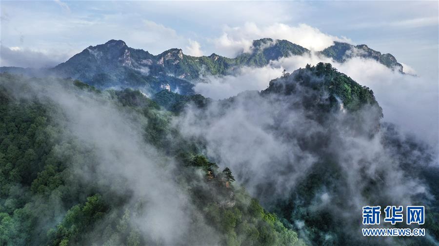 （美丽中国）（5）陕西略阳雨后初霁 森林公园美若仙境