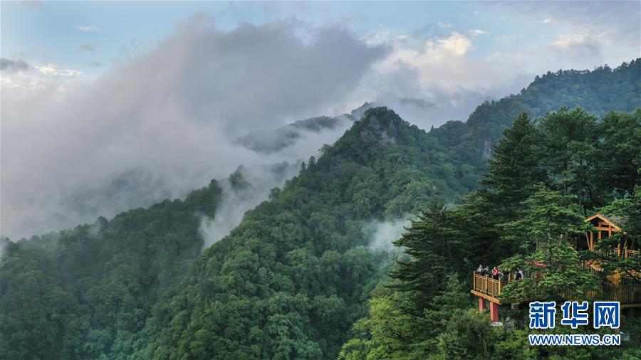 （美丽中国）（1）陕西略阳雨后初霁 森林公园美若仙境