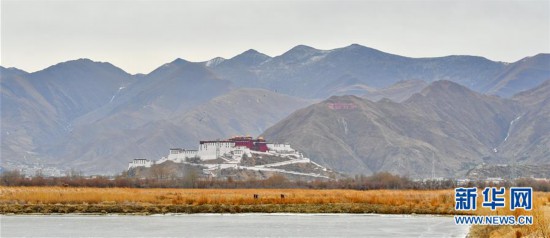 （环境）（3）拉鲁湿地冬韵