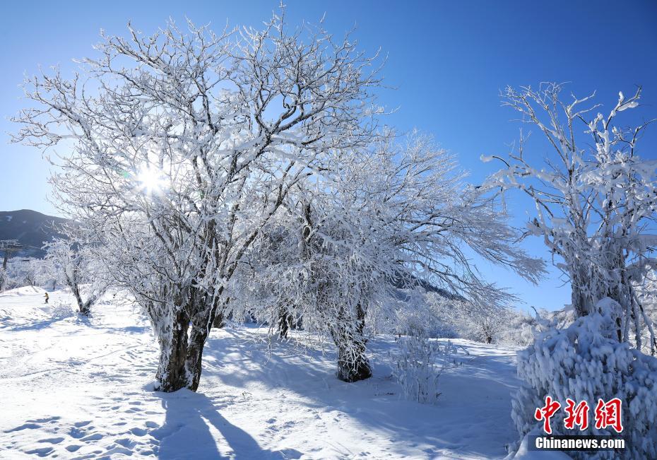 茂县九鼎山雪后初晴美若仙境