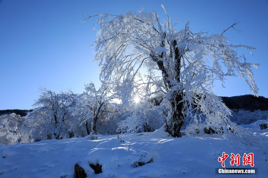 茂县九鼎山雪后初晴美若仙境