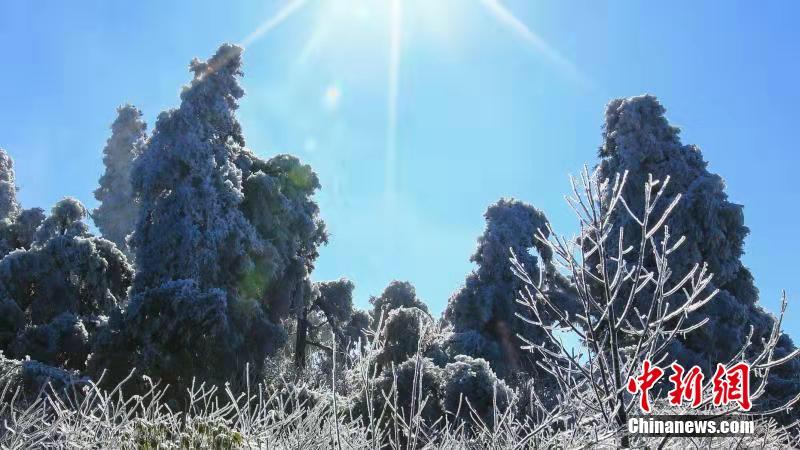 银装素裹点缀南岳衡山 雪景空蒙美如画