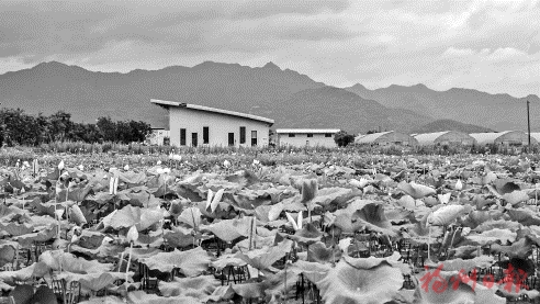 “周末经济”火热　绿水青山生“金”