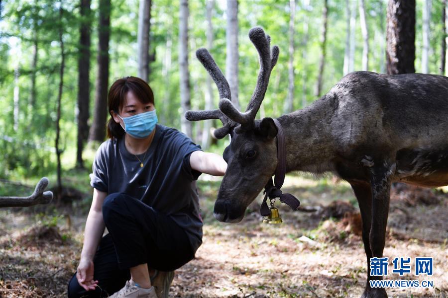 走出山林奔小康——鄂温克族迎来新生活