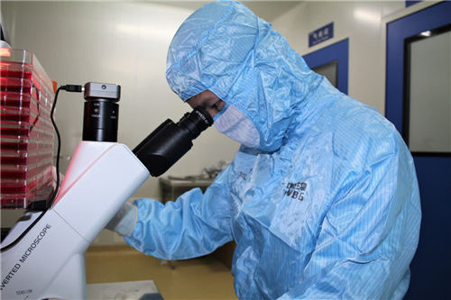 向病毒发出挑战，向科学探寻答案——中国生物新冠灭活疫苗研发团队攻关纪实图3