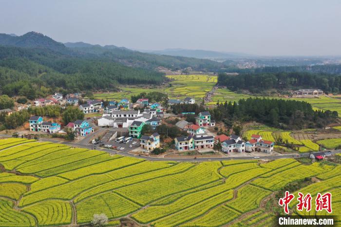 春暖花开航拍江西万安美丽乡村繁花似锦