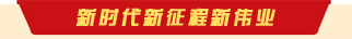 新时代新征程新伟业