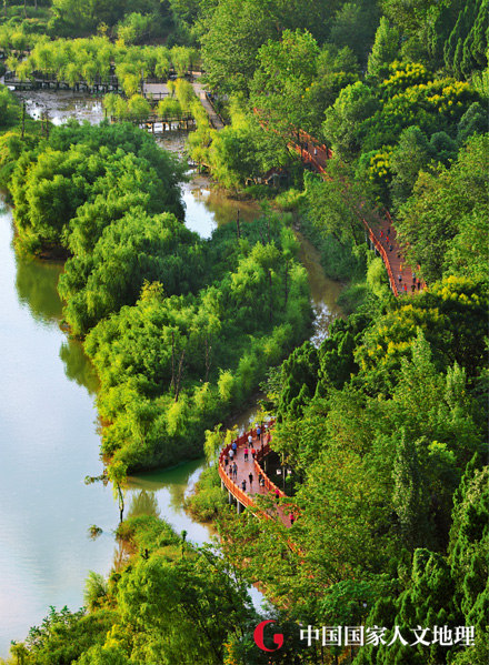 广元南河湿地公园图片