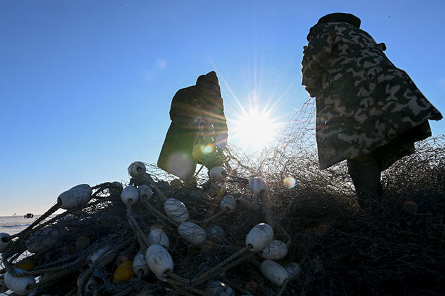 12月26日，在查干湖冰面上，渔民在做收网工作。