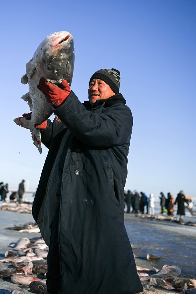 12月26日，渔民举起从湖里打捞出的大鱼。