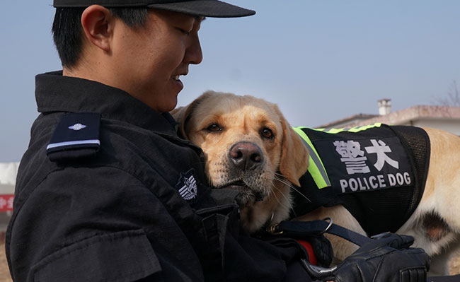 1月12日，训导员丁岩和警犬“皮特”在训练间隙休息。