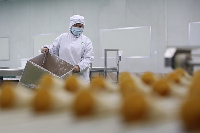 2月7日，河南省焦作市温县产业集聚区一家食品企业的职工在生产线上忙碌。新华社发（徐宏星摄）