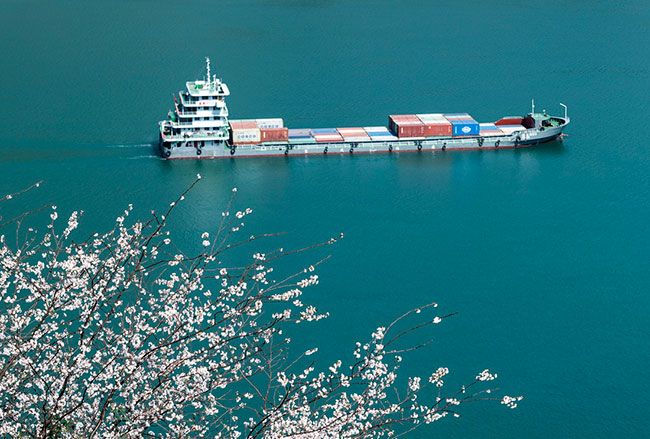 3月8日，船舶行驶在长江三峡湖北省宜昌市秭归县水域。新华社发（郑家裕摄）