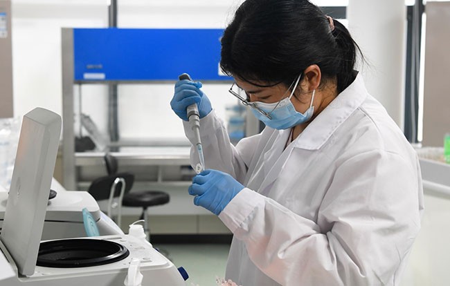 科研人员在崖州湾种子实验室工作（2021年11月23日摄）。新华社记者 杨冠宇 摄