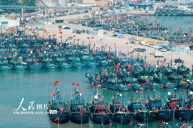 2022年9月1日，山东青岛西海岸新区积米崖渔港渔船马达轰鸣。