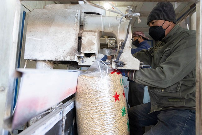 10月25日，在绥化市益盛粮食购销有限公司内，工人打包大豆。