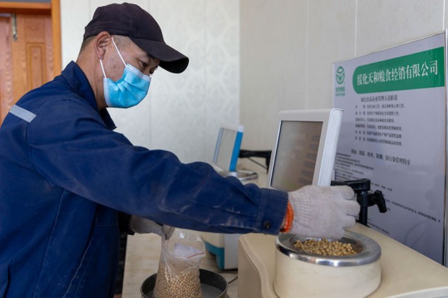 10月25日，检验员对大豆进行蛋白质含量检测。
