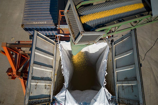 10月25日，在绥化市益盛粮食购销有限公司内，工人利用机器将大豆装入铁路货运集装箱（无人机照片）。