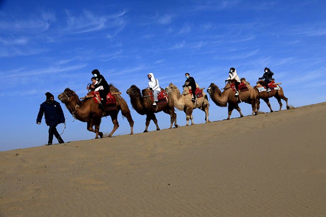 1月27日，游客在甘肃省敦煌市鸣沙山月牙泉景区骑骆驼游览。新华社发（张晓亮 摄）