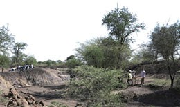 东非大裂谷考古记