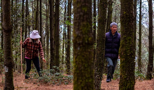 3月12日，护林员王石贵与妻子一起在山林间巡查。新华社记者 江文耀 摄