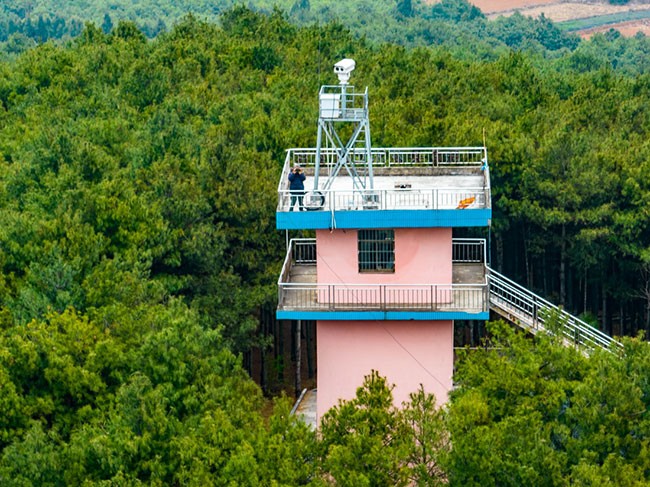 3月12日，护林员王石贵在花木山林场瞭望塔瞭望（无人机照片）。新华社记者 江文耀 摄