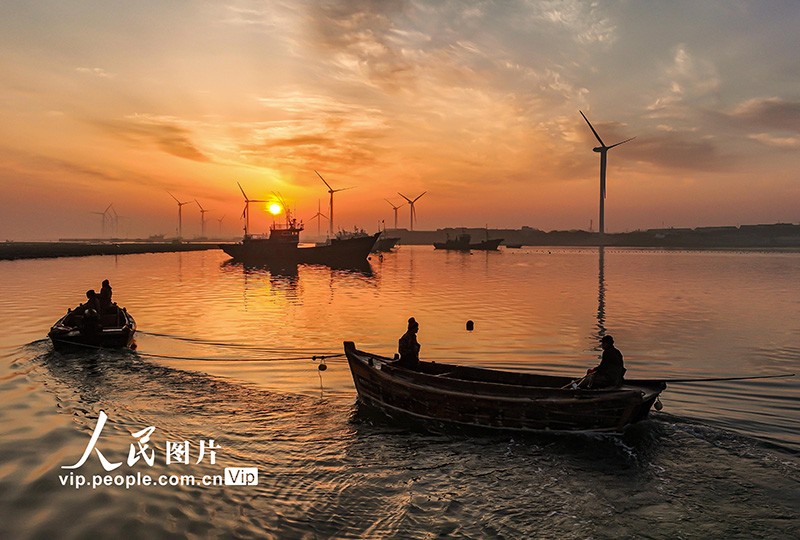 2023年3月19日，在山东省荣成市桑沟湾海洋牧场，渔民们驾驶渔船前往生态养殖区进行作业。