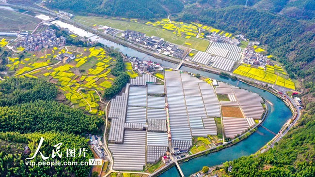 浙江淳安：田园春色润山村