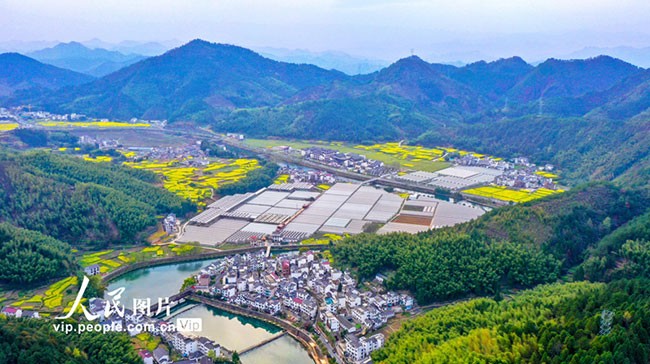 浙江淳安：田园春色润山村