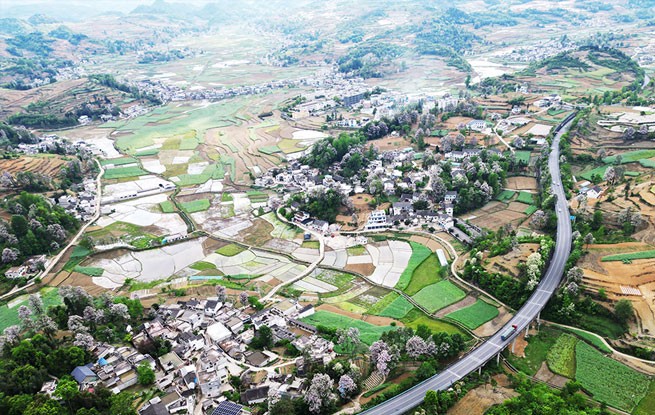 贵州黔西：山花开处乡村美