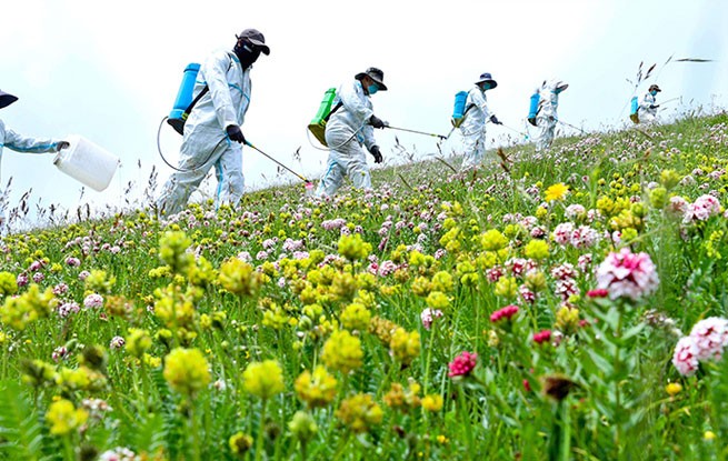 甘肃肃南：推进“三北”工程建设 筑牢生态安全屏障