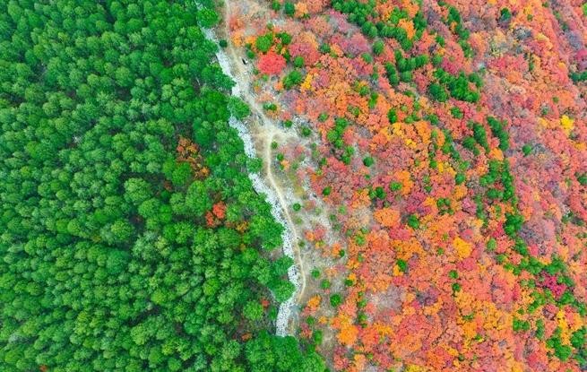 山东济南：看秋色“平分”