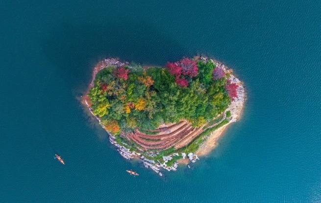 千岛湖又迎一年红叶季