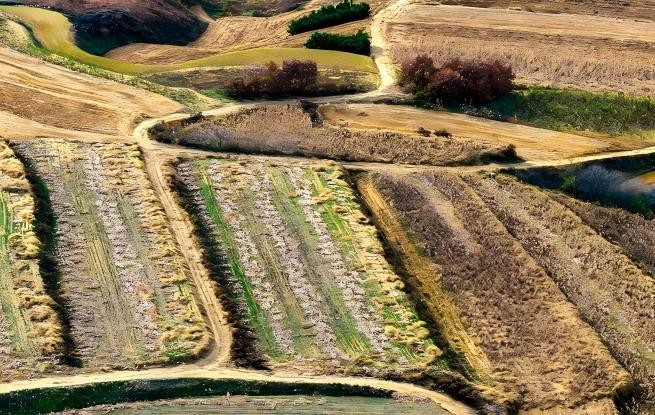 山东青岛：冬日梯田景如画