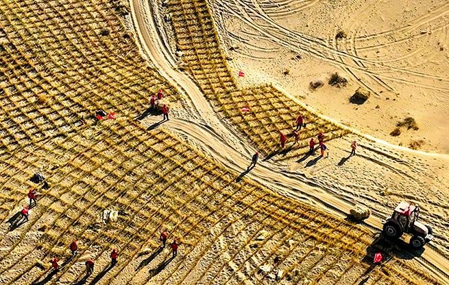 甘肃肃南：巴丹吉林沙漠“锁边”忙