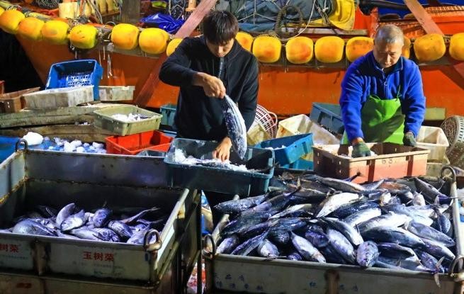浙江玉环：冬捕丰收鱼满仓
