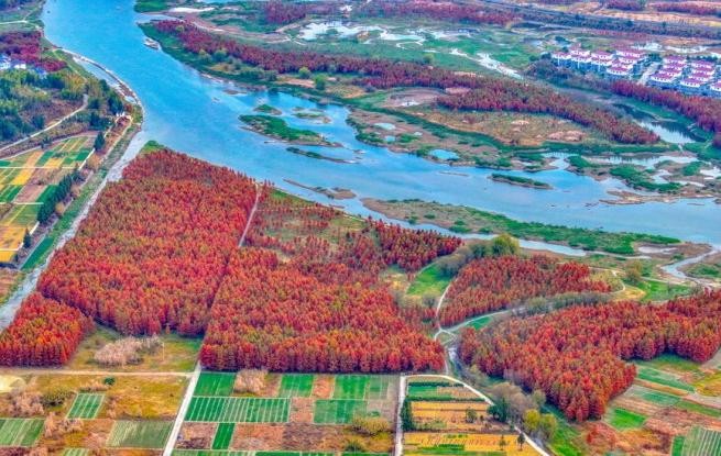 浙江淳安：武强溪生态湿地五彩斑斓